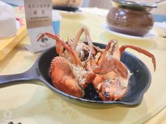 -莲花公园煎蟹(总店)