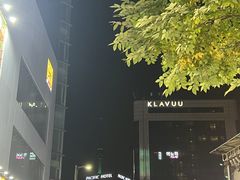 -乐天免税店(明洞店)