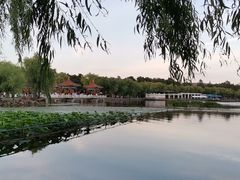 -长春市南湖公园