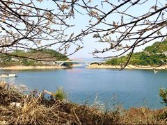 -广州市流溪河国家森林公园