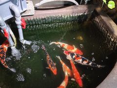 -愉肴麻辣香锅(中山路店)