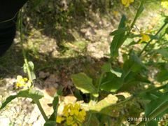 -天宁凯利时尚餐厅