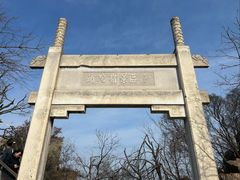 -紫金山山顶公园