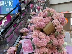 -鹏欣水游城