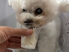 -星巴克(上海长宁来福士1F店)