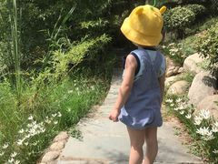 -武汉紫薇都市田园