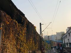 -黄桷坪涂鸦艺术街