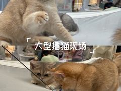 -万达广场(北京槐房店)