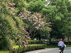 -杭州城北体育公园