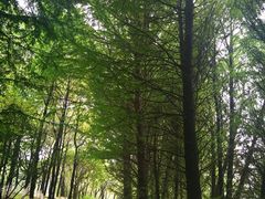 -白塘生态植物园