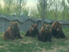 -北京野生动物园