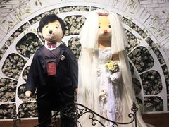 -济州岛泰迪熊博物馆