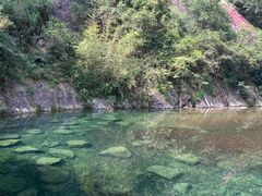 -宁波五龙潭景区