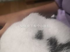 -雨林宠物医院 非犬猫异宠专科
