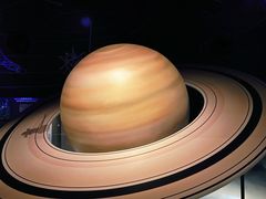 -贝林大翅鲸简餐厅(国家海洋博物馆店)