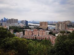 -福道