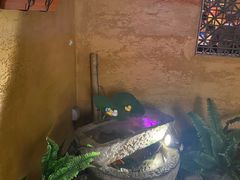 -绿茶餐厅(华联万柳店)