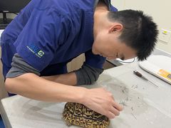 -佩兹宠物医院肿瘤专科·眼科·牙科(黄浦店)