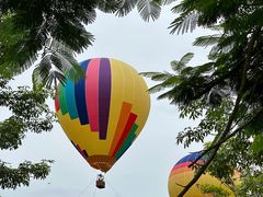 -中国科学院西双版纳热带植物园