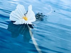 -丽江泸沽湖景区