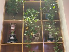 -苗小坛酸汤鱼(酒仙桥店)