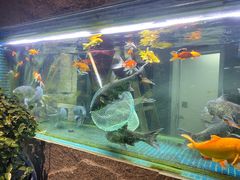 -又见炊烟私房菜(敬亭路店)