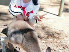 -费瑟代尔野生动物园