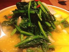 高山岩米菠菜苗-肴约·花园式餐厅(湖里店)