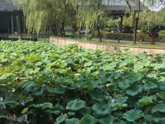 -绍兴鉴湖君澜大酒店