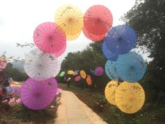 -名花谷生态庄园