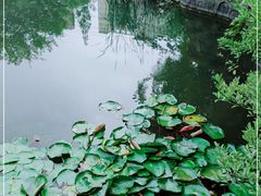 -郑和公园