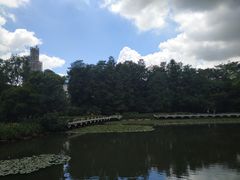 -荔枝公园(福田区)