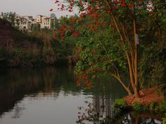 DSC_0822-重庆彩云湖湿地公园