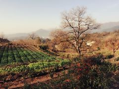 -塔川景区