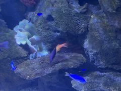 -沈阳海洋探索中心