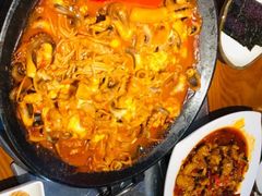 -红辣椒八爪鱼特色韩国料理