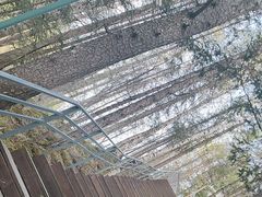 -峡谷浮石林景区