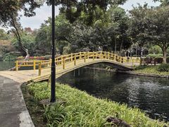 -晓港公园