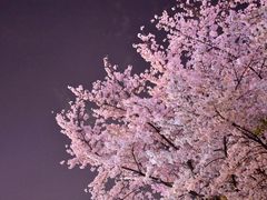 -南浦大桥长途旅游客运站