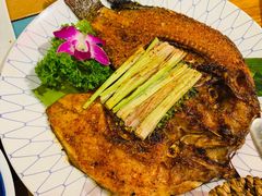 -紫滇源云南生态菜(丹凤街店)
