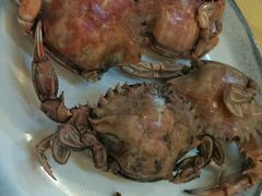 android_upload_pic-青瓦餐厅·生鱼片·韩园烤肉(西塔店)