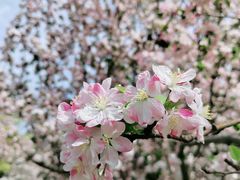 -元大都城垣遗址公园