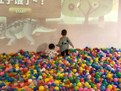 -恐龙探索乐园(磁器口店)