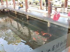 -浙江省博物馆(孤山馆区)