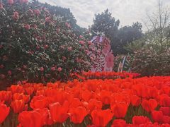 -南山植物园