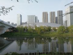 -杭州奥体中心-体育场