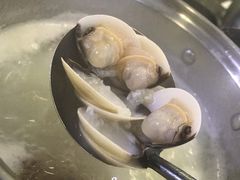 -蚝专家