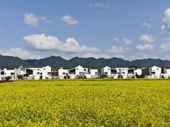 -东梓关景区村庄