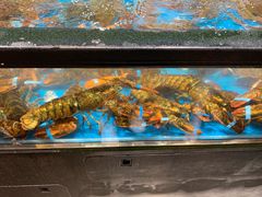 -盒马鲜生(曜一城店)