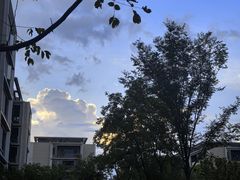 -老班长·小龙虾·鲜货烧烤大排档(金街美地店)